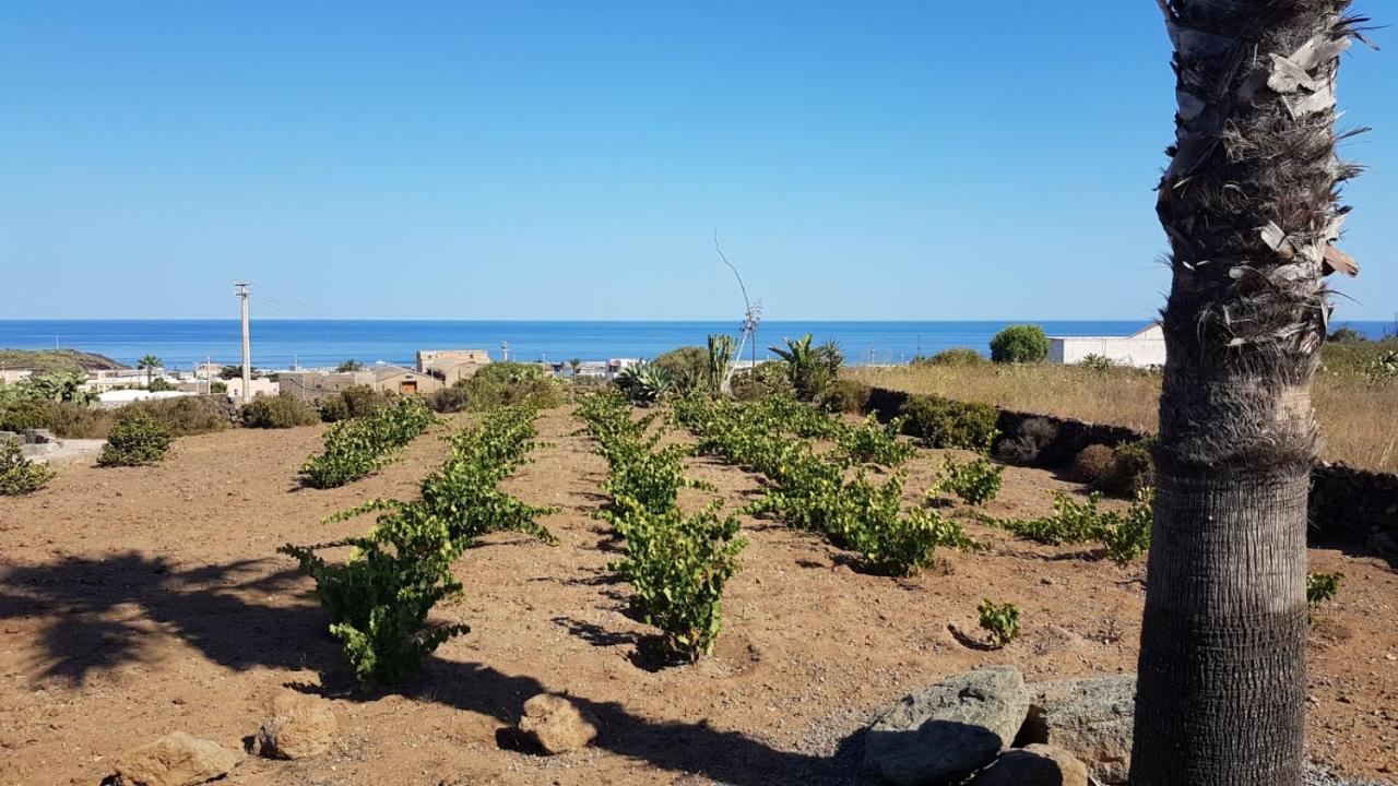 Appartamento Il Vigneto