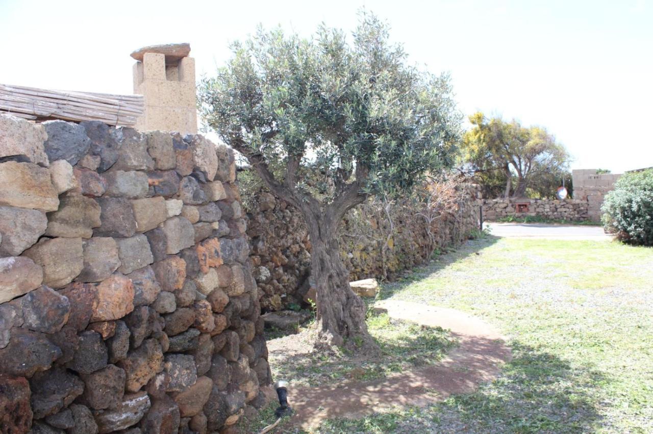 Apartment Il Vigneto
